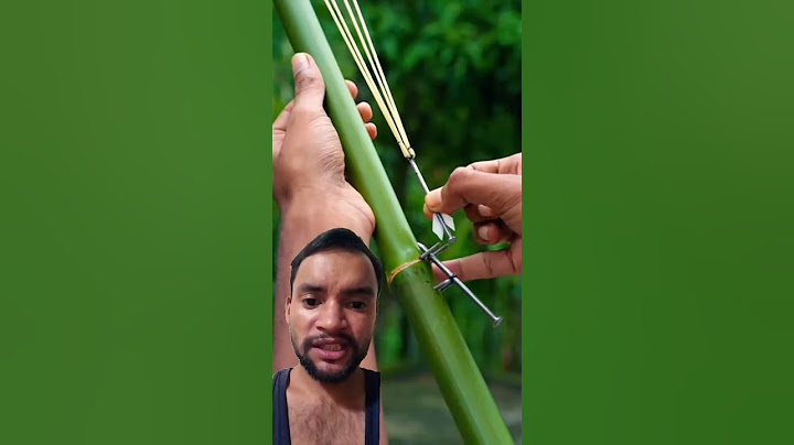 Bamboo creations with Slingshots using pin #bamboo #diy #craft #shorts