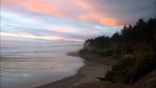 Video thumbnail of "Whispering Pines - Lucinda Williams"