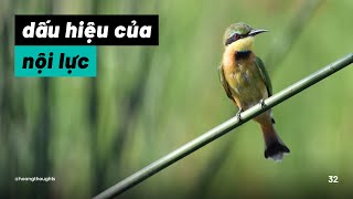 9 Dấu hiệu nội lực của bạn đang lớn dần | hoangthoughts #32