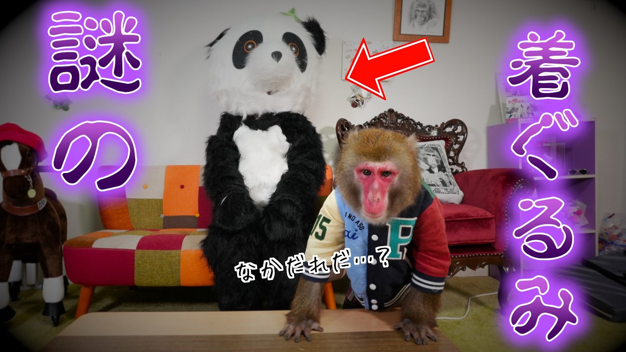 部屋に中身が飼い主ではない着ぐるみがずっといたらお猿さんも怖いんだろうか。