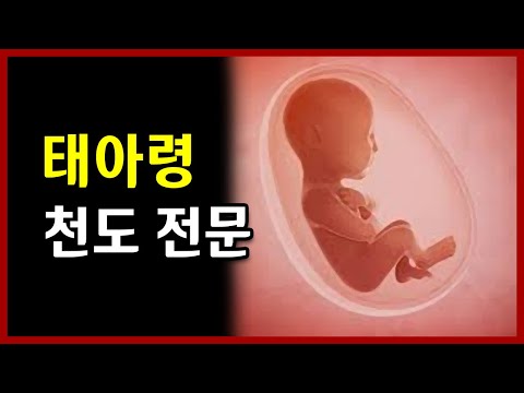 태아령 천도 전문 인성원