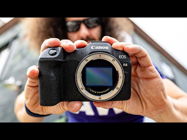 Canon EOS R8 6 Months Later REVIEW: Best Budget Full Frame Mirrorless  Camera?! 