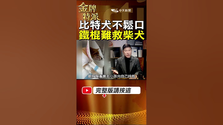 【眾人難救柴犬】比特犬襲擊柴犬不鬆口!飼主親眼所見心痛! #金牌特派