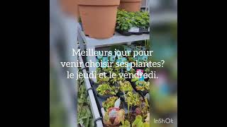 visite de la jardinerie Truffaut Herblay rayon plante d intérieur février 2022