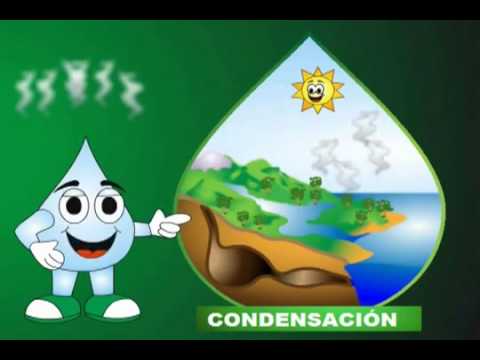 Cuidado Del Agua Youtube