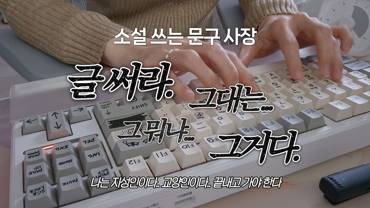 지성과 교양을 갖춘 문학인의 일상 | 소설&웹소설 작가 브이로그