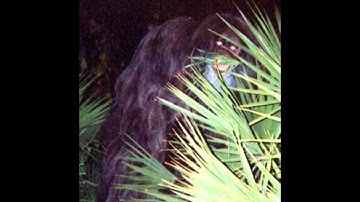 5 Mysterious Photos That Cannot Be Explained