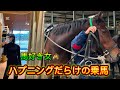 【馬大好き女】馬好き女が乗馬クラブ初体験🐎#馬好き#乗馬クラブ #乗馬体験#競馬#競馬好き女子#馬女