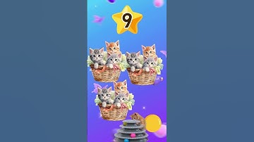 The Secret Language of Numbers: From One to Twelve