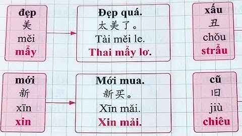 Mở Rộng Từ Vựng Tiếng Trung Với Các Cặp Từ Trái Nghĩa 🍀 Tiếng Trung An Nhiên Tây Nguyên