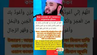 Allahumma Inni A'udhu Bika Minal Hammi | Allahumma Inni A'udhu Bika Minal | Dua to Relieve Anxiet...