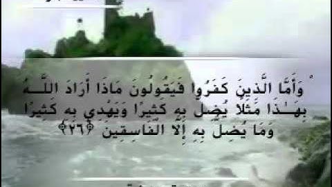 Moustafa Haredy  El Baqarah Ayah 26-27 | مصطفى هريدى - سورة البقرة - من أية 26-27