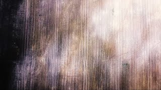 Field backdrop | Nature drone video | 4K UHD