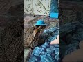 жаба ага в шляпе