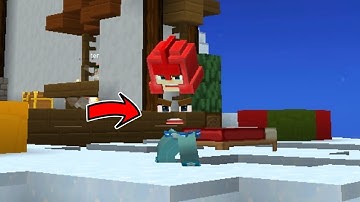 NEW INVISIBLE NEWBIE SKIN GLITCH in BedWars!! 😎 (Blockman GO : BedWars)
