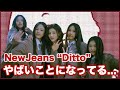 【速報】NewJeans "Ditto" が韓国でやばいことなってる......【KPOP音源成績】