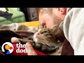Couple Rescues Kitten At Starbucks Drive-Thru | The Dodo