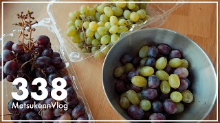 【コストコ】新商品のコットンキャンディグレープがやたら美味しい｜レッドシードレスグレープと食べ比べ【VLOG#338】