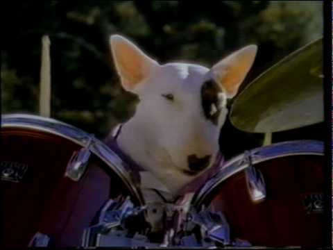 Spuds MacKenzie - Bud Light Commercial - 1987