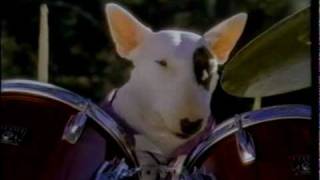 Spuds MacKenzie - Bud Light Commercial - 1987