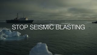 EXPOSED! Seismic blasting in the Arctic