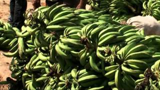 Reportaje al Perú: Pucallpa - cap 2