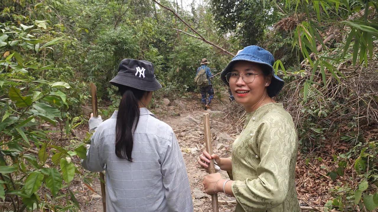 Сбор побегов дикого бамбука. Отличное видео для всех.