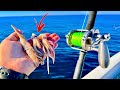 Fishing 55 miles out on a *24ft* Bay Boat for our LUNCH....[Catch, Clean, Cook]