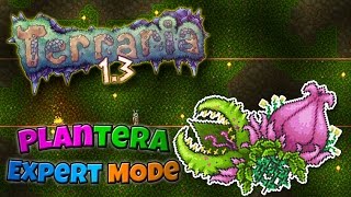 Terraria 1.3 - Expert Mode Funny Moments And Fails 19