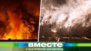 Пожар в Казахстане пылает две недели. Подробности и хронология страшной трагедии