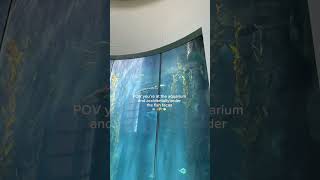 Sorry Nemo 😅 😬 #fishtacos #foodie #tacotuesday #tastetest