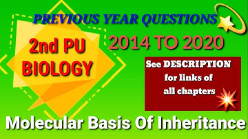 Molecular basis of inheritance/2nd PU Previous year board exam questions