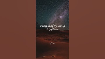 وَأَنَّ اللَّهَ لَيْسَ بِظَلَّامٍ لِلْعَبِيدِ || سورة الحج || علي جابر