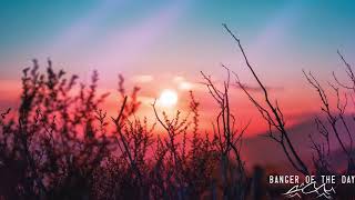 Zeegs - Sunrise