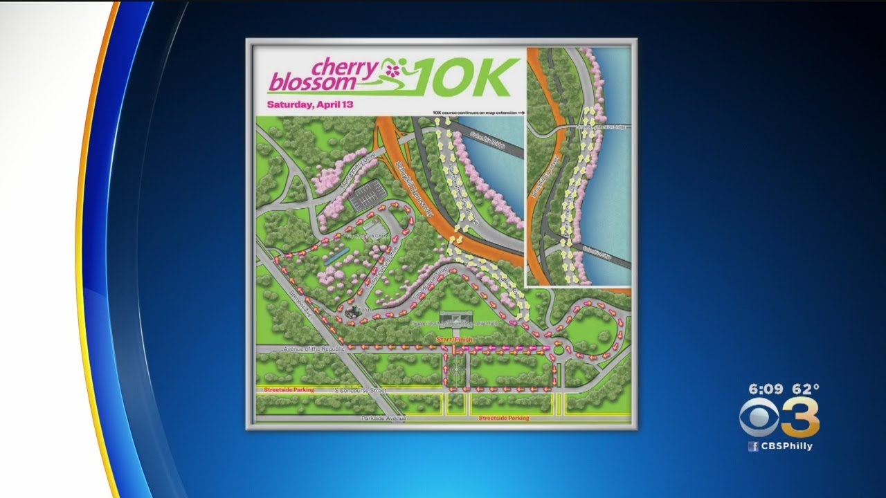 Fairmount Park Is In Bloom For Annual Cherry Blossom Festival - YouTube