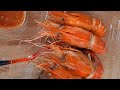 Udang lezat di PATTAVIKORN MARKET #bangkok#thailand#travel#trending#streetfood#seafood#travelvlog