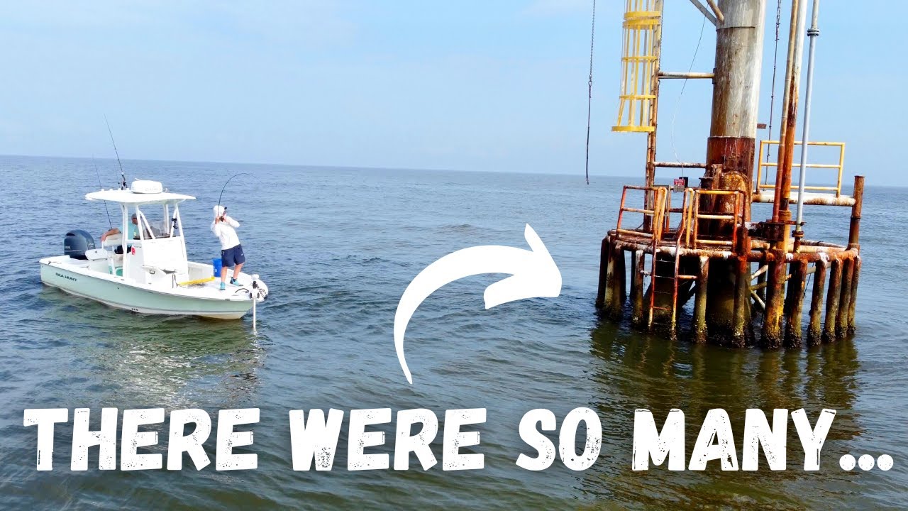 Sheepshead Fishing Like You've NEVER Seen Before!