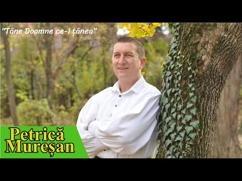 Petrică Mureșan -