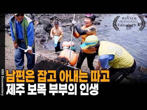 14살 초등학교 졸업 후 바다로... 자리돔 낚아 600평 밭 일궈낸 70대 부부 | KBS 다큐 공감 20160731 방송