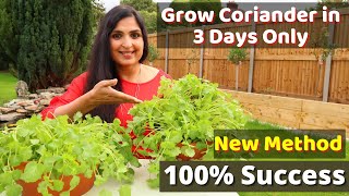 Fastest Coriander Growing Method \/ No one told you before \/ Cilantro Growing At Home  #cilantro #DIY