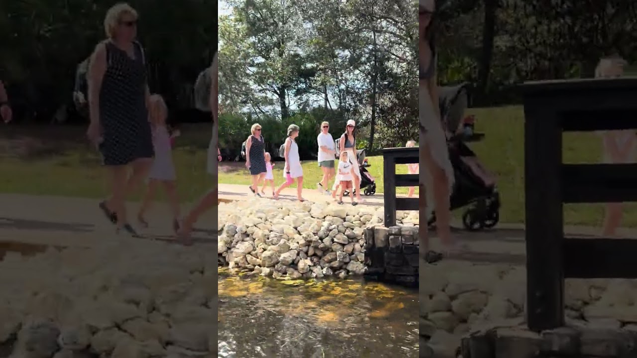 Port Orleans boat ride! Riverside to French Quarter! #disney #boat  #portorleansriverside #river