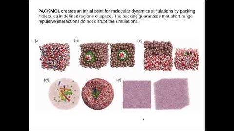 PACKMOL tutorial- Solvation of proteins in non-standard solvents