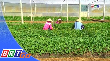 Ứng dụng công nghệ cao để phát triển nông nghiệp bền vững | BRTgo