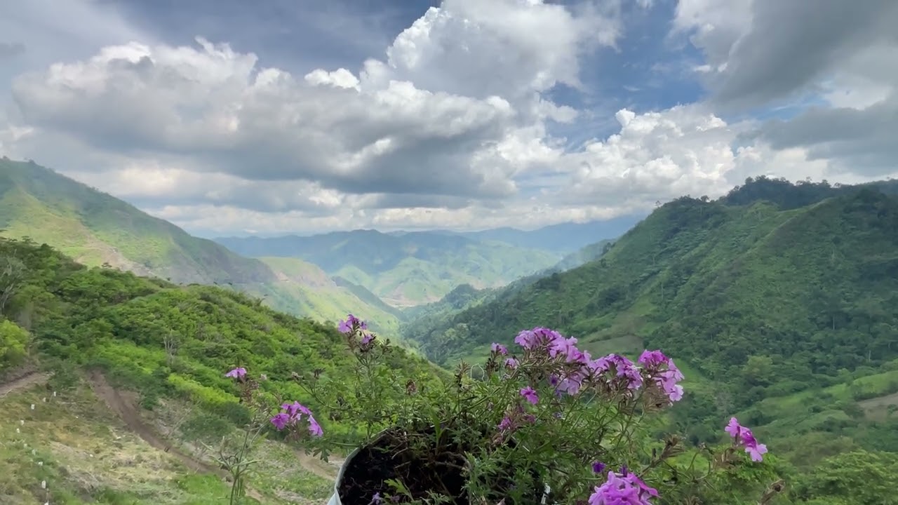 Lost in the mountains, found in peace. 