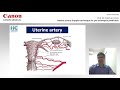 ISUOG 2020 Fabricio Costa – Uterine artery Doppler technique for pre-eclampsia prediction