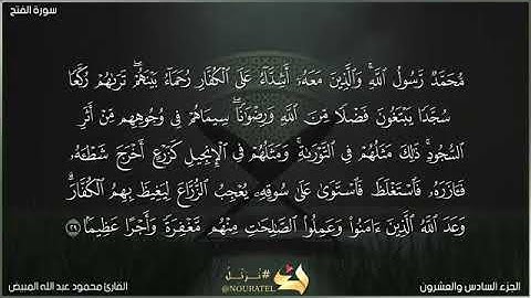 من سورة الفتح 29 بصوت الشيخ محمود المبيض (جودة عالية)