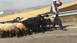 ADIYAMAN YOLLARI