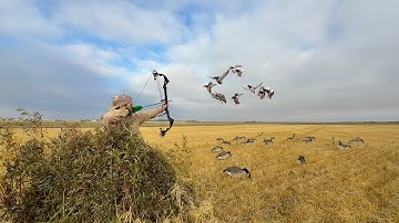Hunting Flying Ducks and Geese with a Bow and Arrow!
