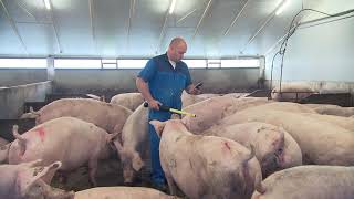 Pigvision Mobile Testimonial Nederlands
