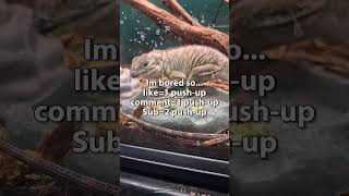 Im doing girl push-ups btw